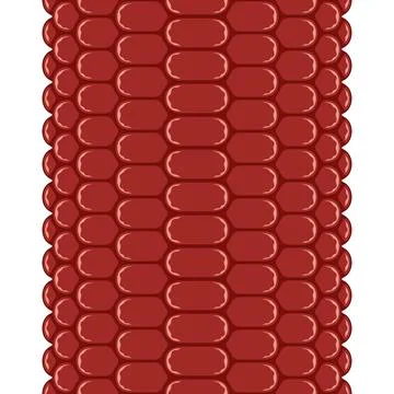 Vertical seamless pattern with corn cob texture, maize Stock Illustration