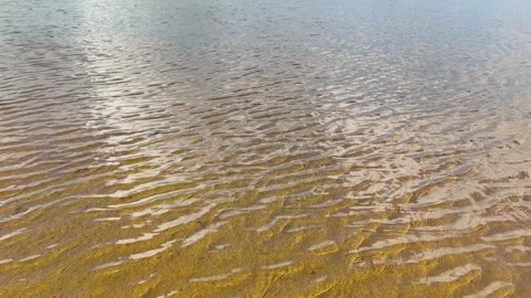 Vertical Serene Beach Waves with Coastal Grass at Sunset Video stock 340415612