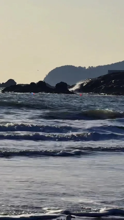 Vertical Serene Ocean Waves Crashing on Sandy Beach at Sunset Vídeos de archivo 332384229