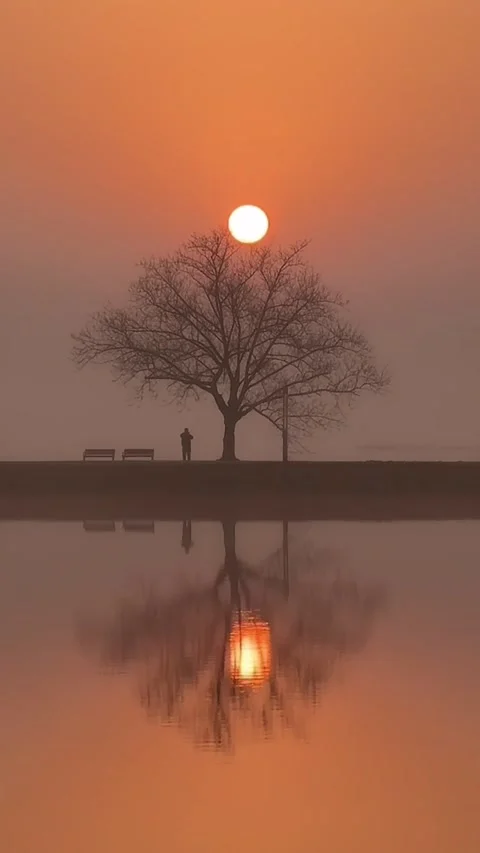 Vertical  Serene Sunrise Timelapse over Lake with Cyclist Silhouette Stock Footage 332471352