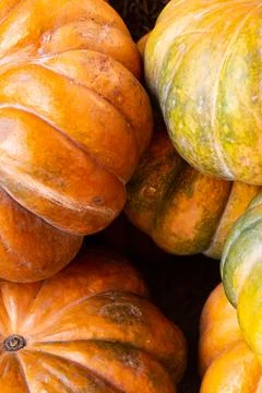 Vertical set many orange pumpkins mini ribbed close-up background foundation Foto stock