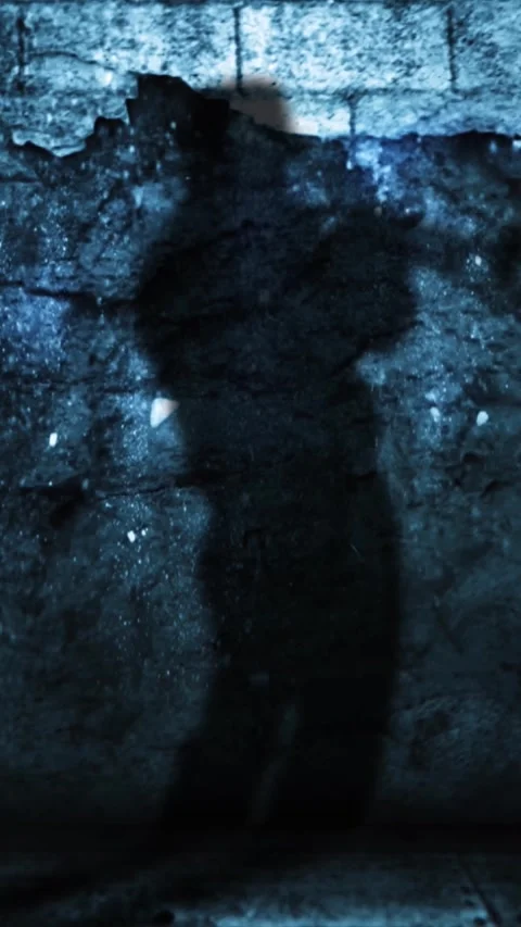Vertical Shadow of Horn Player Against Grunge Wall with Falling Debris 4K Stock Footage 274407640