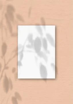 The vertical sheet of white textured A4 paper on the peach wall background. Stock Illustration