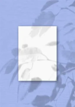 The vertical sheet of white textured A4 paper on the blue wall background. Stock Illustration