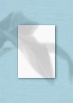 The vertical sheet of white textured A4 paper on the blue wall background. Stock Illustration