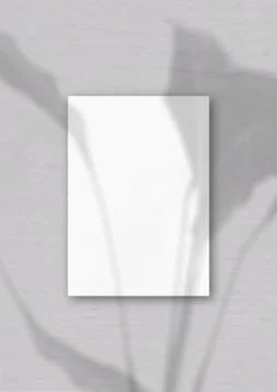 The vertical sheet of white textured A4 paper on the grey wall background. Mo Stock Illustration