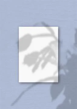 The vertical sheet of white textured A4 paper on the blue wall background. Mo Stock Illustration