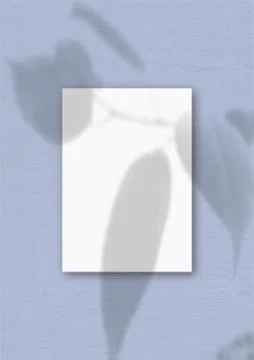 The vertical sheet of white textured A4 paper on the blue wall background. Mo Stock Illustration