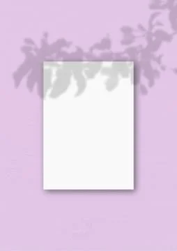 The vertical sheet of white textured A4 paper on the pink wall background. Mo Stock-Illustration