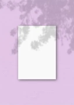 The vertical sheet of white textured A4 paper on the pink wall background. Mo Stock Illustration