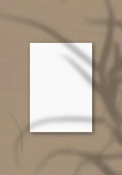 The vertical sheet of white textured A4 paper on the brown wall background. M Stock-Illustration