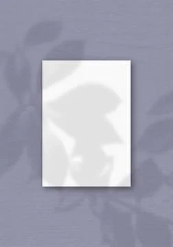 The vertical sheet of white textured A4 paper on the lilac wall background. M Stock Illustration