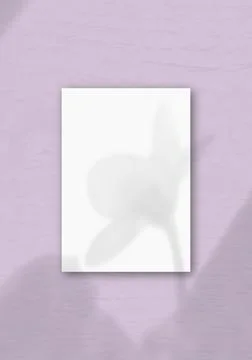 The vertical sheet of white textured A4 paper on the lilac wall background. M Stock Illustration