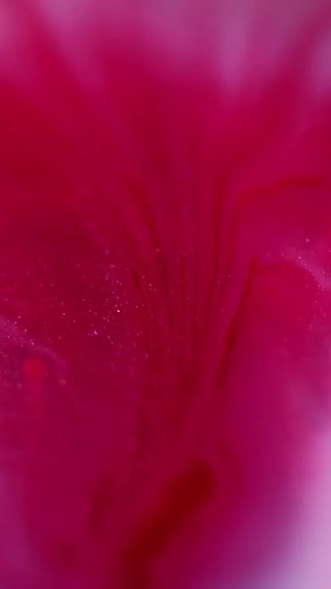 Vertical shimmer ink spot fluid water pink texture Stock Footage 340303284