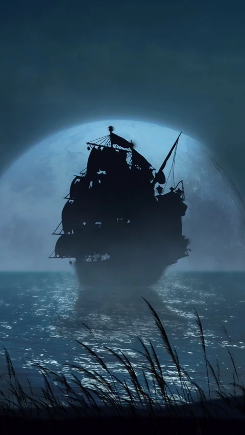 Vertical Ship Silhouette Blowing Grass in the Full Moon 4K Loop Stock Footage 276285897