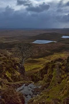 Vertical shoot of a famous tree in fall autumn of The Quiraing on the Isle of Stock Photos