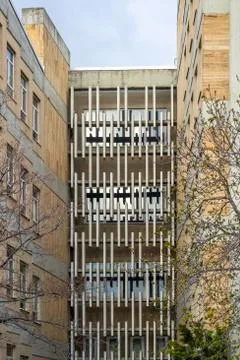 Vertical shoot of horizontal modern design concrete shading elements with tre Stock Photos