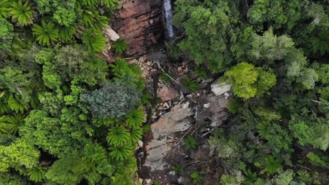Vertical shoot of waterfall and forest Stock Footage 151334278