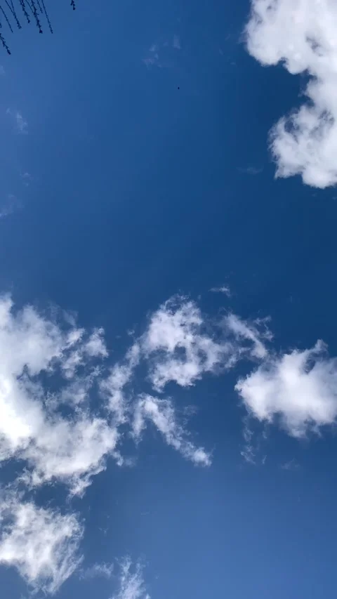 Vertical shot 4k video with clouds in the sky and bird sounds Stock Footage 280685368
