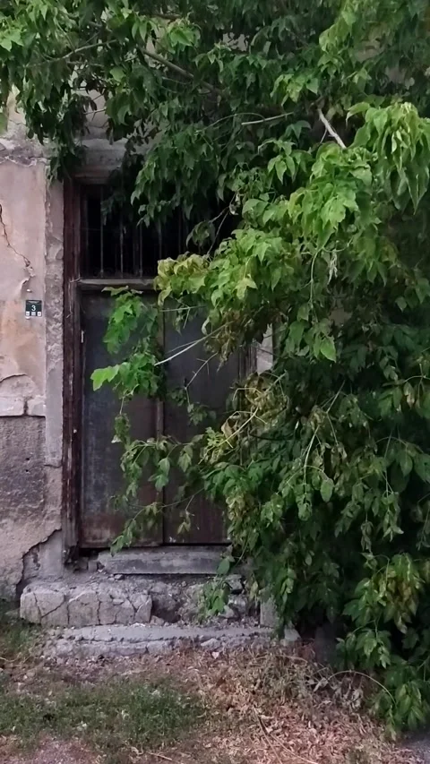 Vertical shot of an abandoned old house with a rusty metal door and padlock. Stock-Footage 328402689