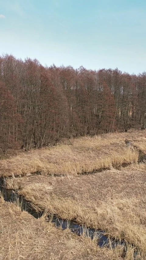 Vertical shot. Aerial view of a small meandering river in the countryside Stock Footage 332047072