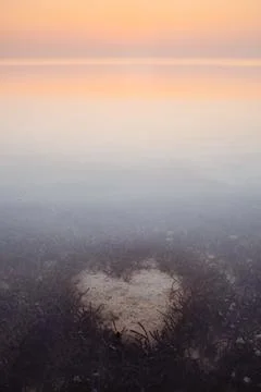 Vertical shot of the algae in the shape of a heart. The Maldives. Stock Photos