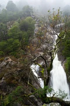 Vertical shot of Arado waterfall and trees in Peneda-Geres National Park Stock Photos