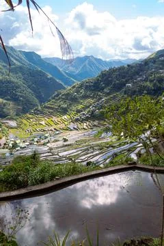 A vertical shot of Batad Rice Terraces, Luzon, Philippines Stock Photos