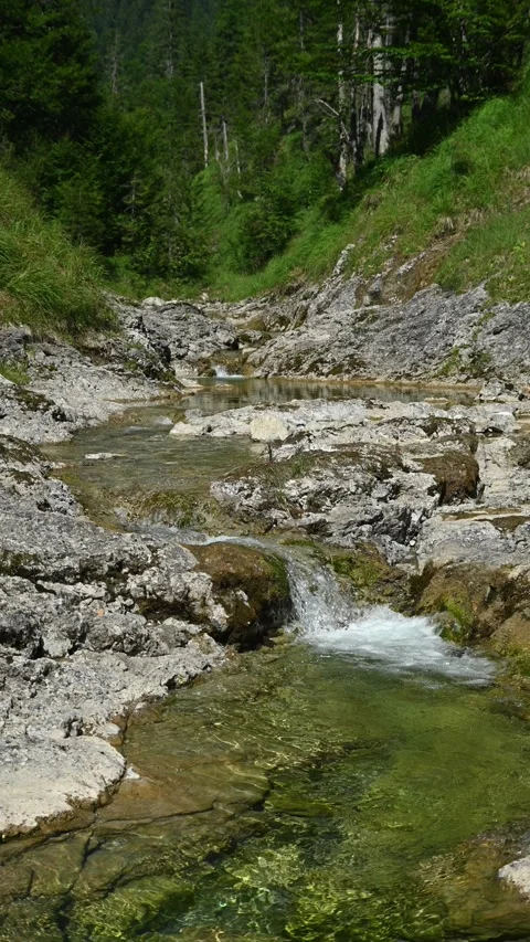 Vertical shot of a beautiful mountain stream in summer with a small waterfall Stock-Footage 260876164