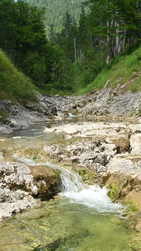 Vertical shot of a beautiful mountain stream with a small waterfall Video stock 260876218