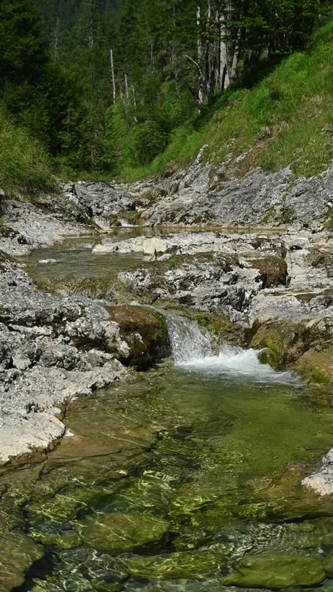 Vertical shot of a beautiful mountain stream with a small waterfall, slow motion Stock-Footage 260876311