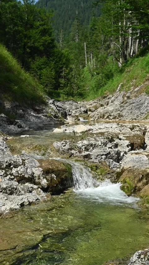 Vertical shot of a beautiful mountain stream in summer, slow motion Stock Footage 260876462