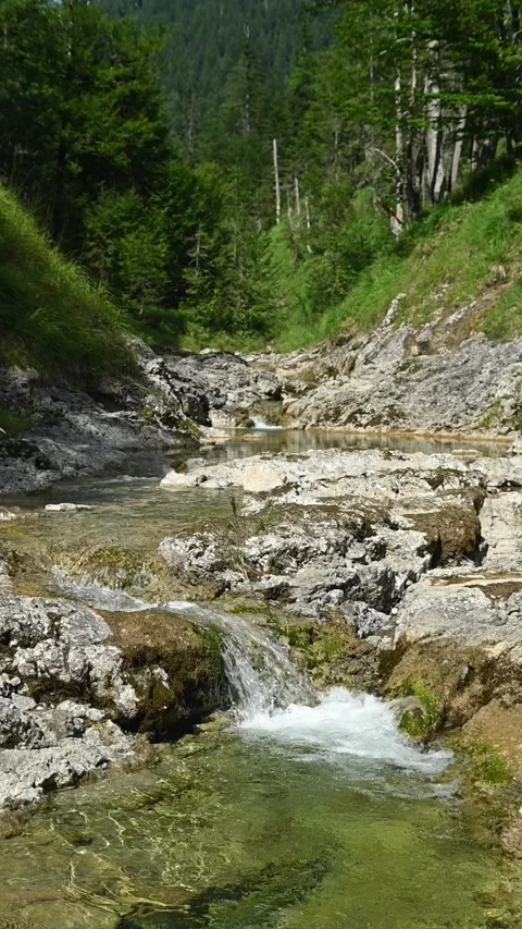 Vertical shot of a beautiful mountain stream in summer, slow motion Stock-Footage 260876508