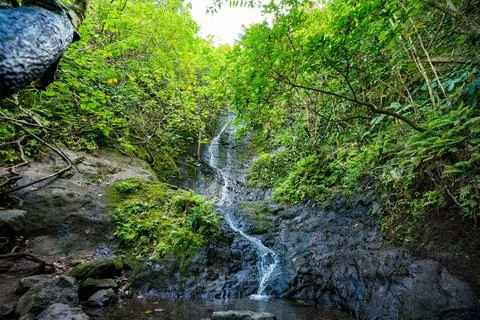Vertical shot of a beautiful small waterfall in Hawaii, Oahu Stock Photos