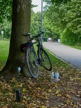 Vertical shot of a bicycle under the tree Foto stock
