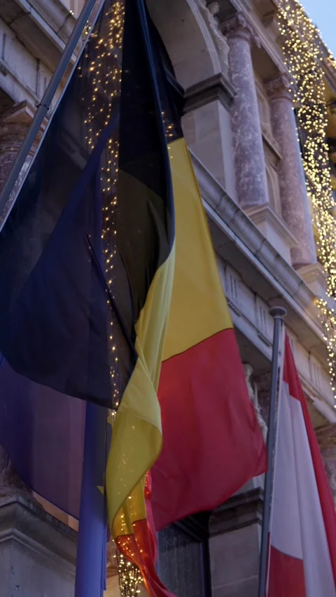 Vertical shot of big Belgian flag on old build 動画素材 222068844
