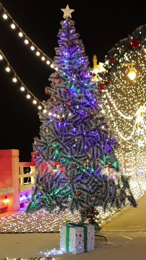 Vertical shot of a big christmas tree at night Stock Footage 336364560