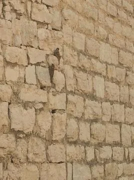 Vertical shot of a brick wall with a rectangular texture 스톡 사진
