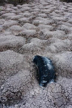 A vertical shot of the bumpy dry, cracked stone ground outside with an old ca Stock Photos