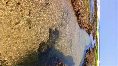 Vertical shot of a calm and super clear mossy coral beach in Garut, West Java Stock Footage 296619063