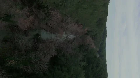 Vertical shot, the camera flies over a river flowing through a coniferous forest Video stock 231509301