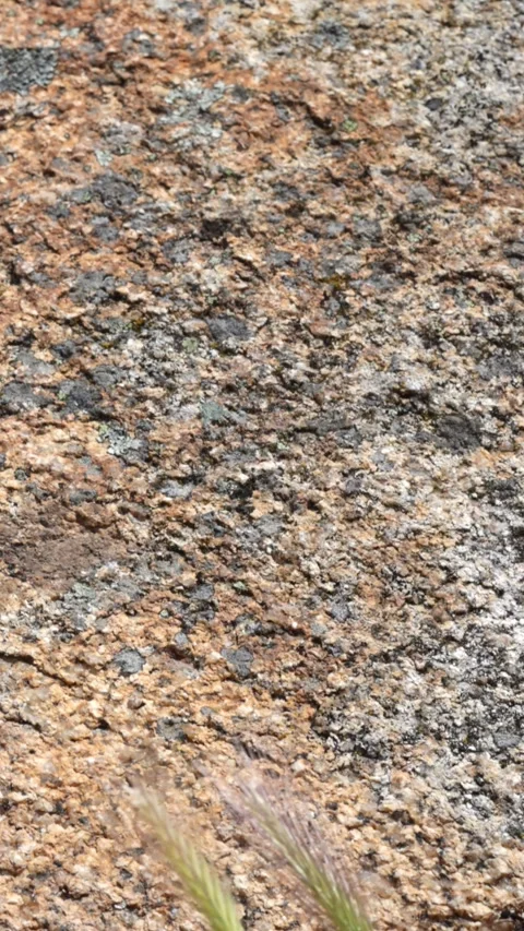 Vertical Shot of a Camera Movement Revealing Granite Texture Stock Footage 336675024