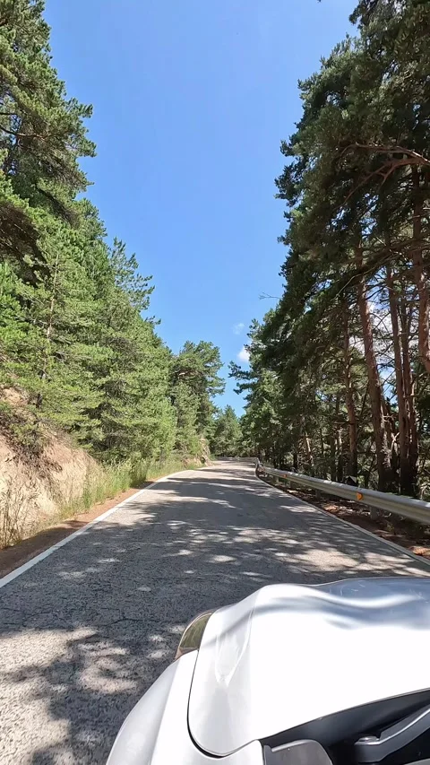 Vertical shot of car on road between trees Stock Footage 279178350