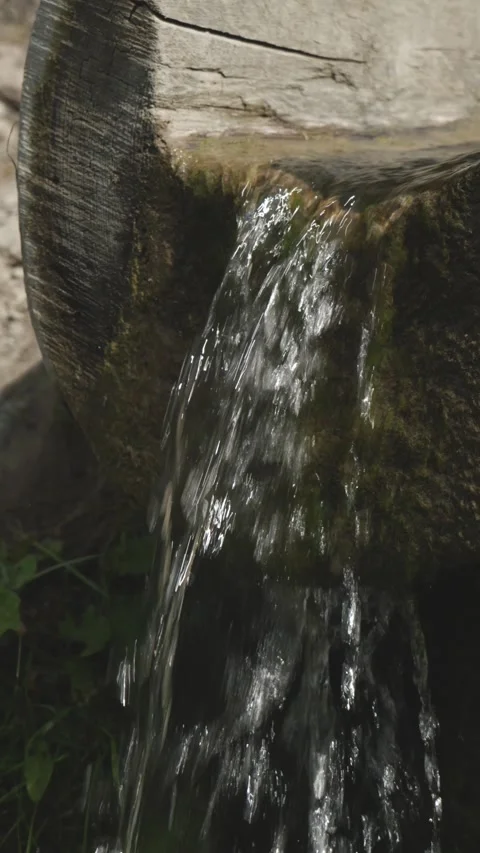 Vertical shot of carved tree trunk with crystal clear water flowing Stock Footage 313792818