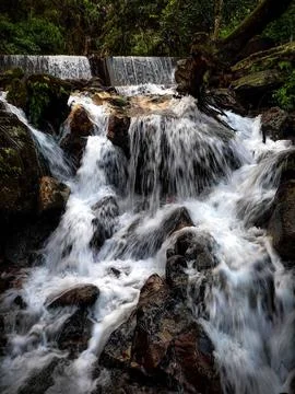 Vertical shot of a cascade in a green forest Stock Photos