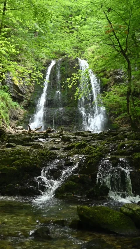 Vertical shot of cascading waterfall in a beautiful summer forest in slow motion Video stock 260900941