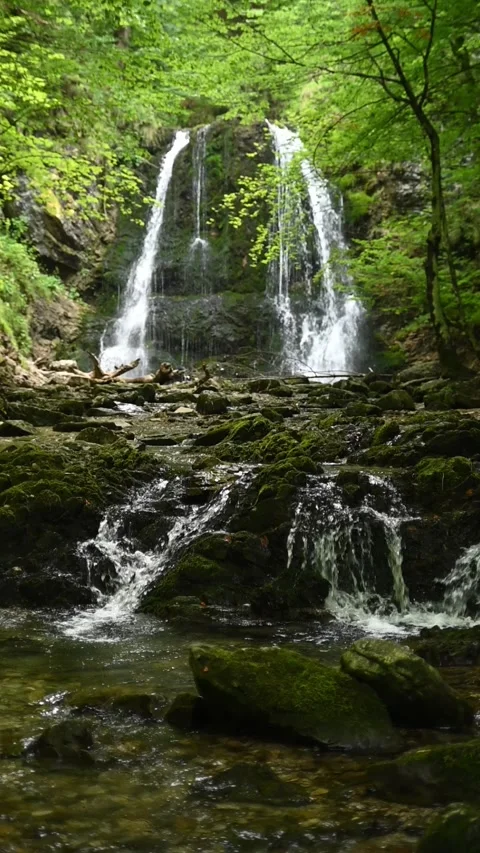 Vertical shot of cascading waterfall in a beautiful summer forest in slow motion Stock-Footage 260900964