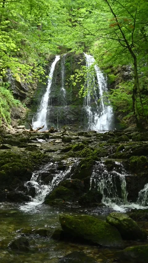 Vertical shot of cascading waterfall in a beautiful summer forest in slow motion 스톡 동영상 260901088
