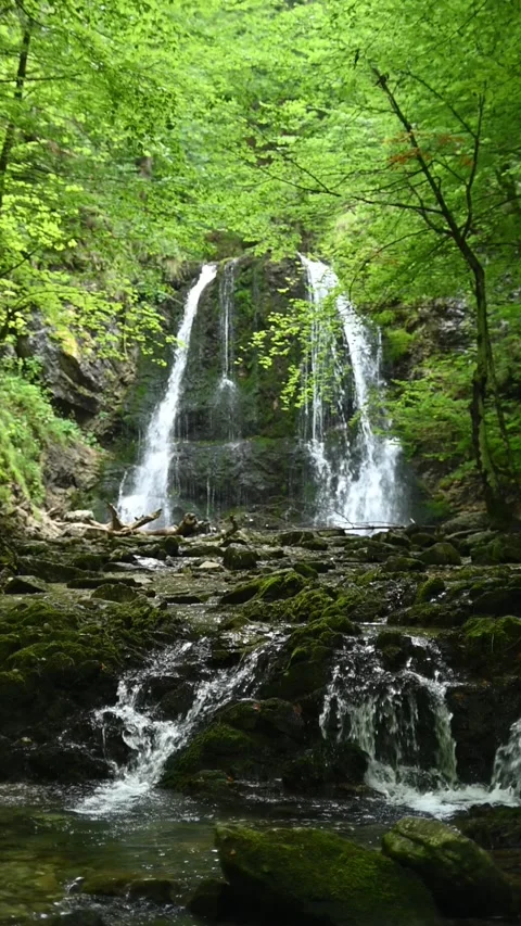 Vertical shot of cascading waterfall in a beautiful summer forest in slow motion Stock-Footage 260901122