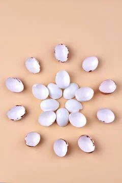 Vertical shot chicken egg shells arranged in a round shape on beige background. Stock Photos
